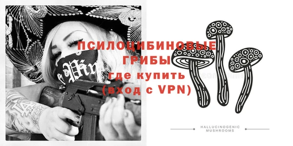 прущий лед Алзамай