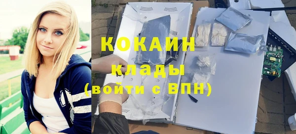молекула духа Алексин