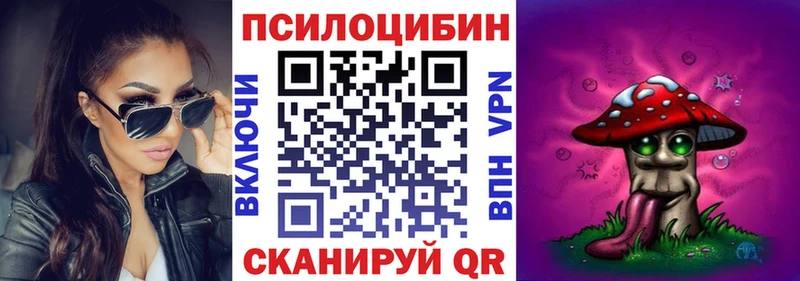 где продают Богородицк Псилоцибиновые грибы мицелий